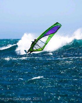 West Coast Wave Classic