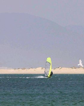 Windsurfing