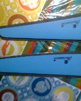 hurricaneFins