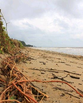 Cyclone Yasi