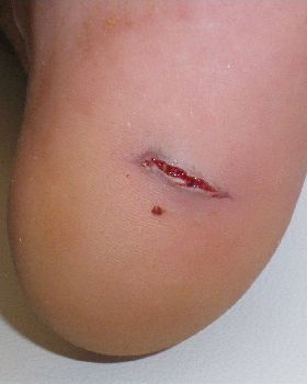 cut 003