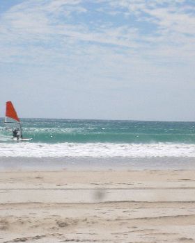 dead off shore Walkers