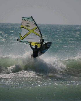 08 Feb 2011