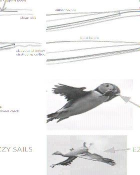 flight