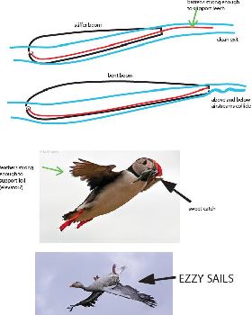 flyinghiggh