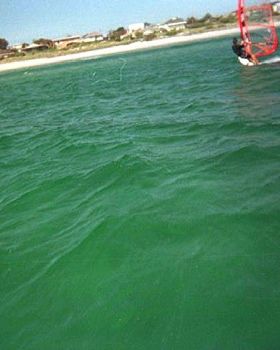 Cruising in on a Light Northerly