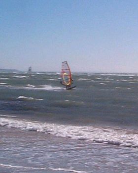 Having A Look What Is On The Beach