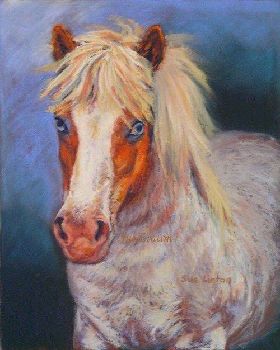 Jack - a demo pastel painting - 25 x 30cms Pastel- For sale on my website