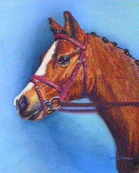 BeeJay Piaffe 25 x 30cms Pastel