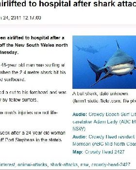 Shark Attack Mid-North Coast