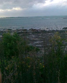 callala bay