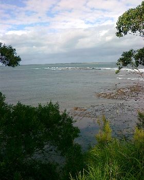 callala bay