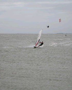 Manly-Windsurfing-199