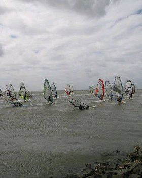 Manly-Windsurfing-219