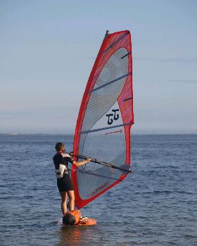 Scout on windsurf expedition