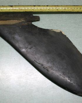 Weed Fins