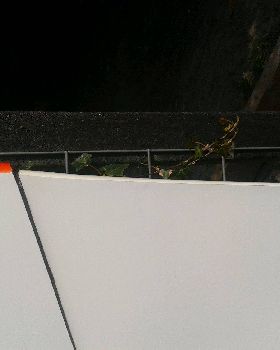 2011-04-20 10.55.49