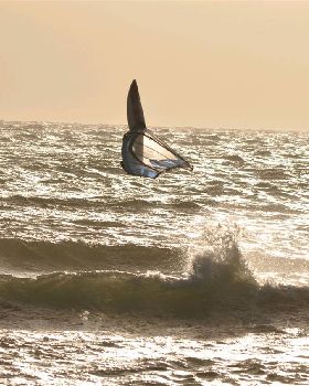 Tim at seacliff 23.5.11