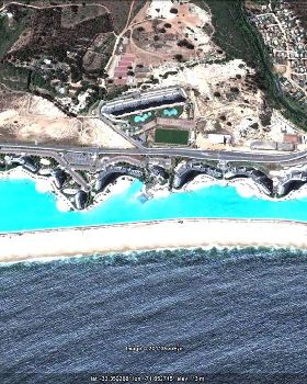 algarrobo