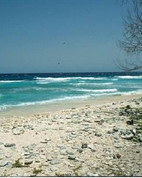 Lady Elliot Island