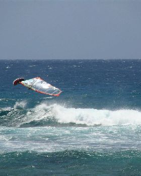 DSC00514