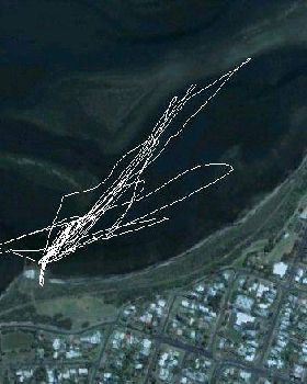 Swan Bay Run