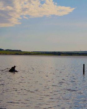 The Doug-ness monster