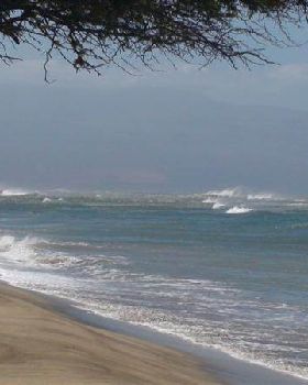 Maui 2011