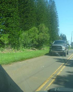 trucks