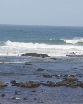 Surfies