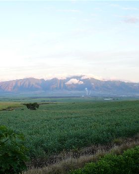 Maui in June
