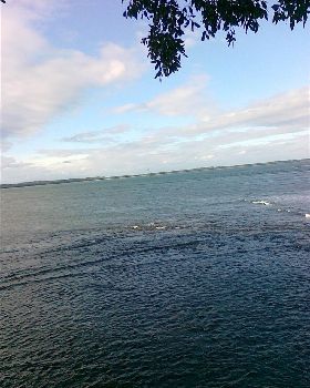 callala bay