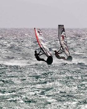 windy