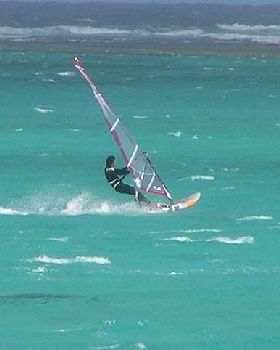Lord Howe Island trip 2011