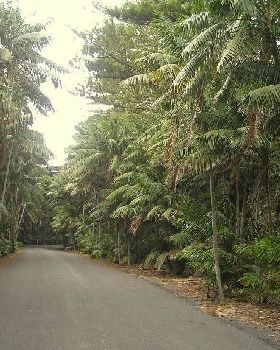 Lord Howe Island trip 2011