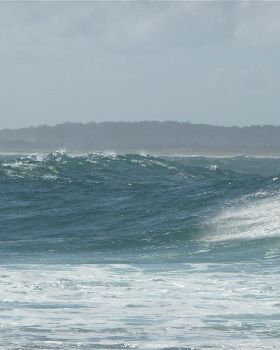 toowoon waves sailing 115