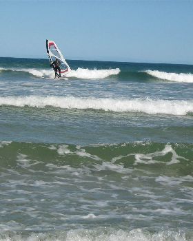 Picture 010