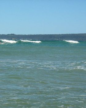Picture 018