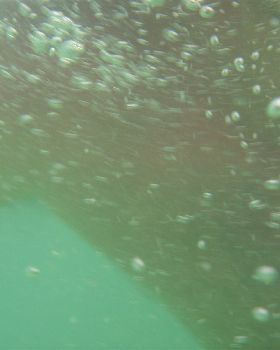 WA Trip 2010 038