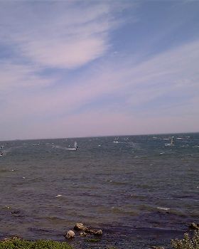IMAG0320