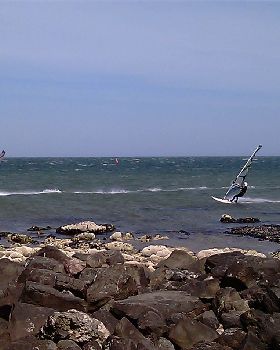 IMAG0331