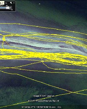 spit tracks