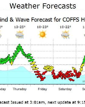 Woolgoolga forecast