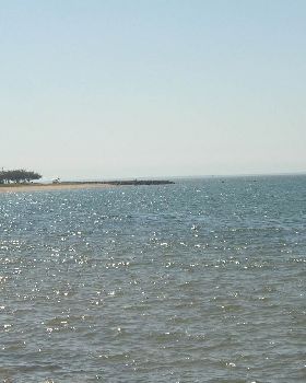 P8130016