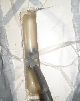 SDC10495
