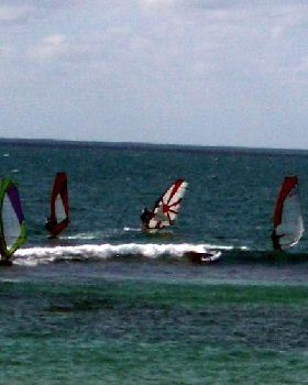 Avalon Amateurs