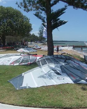 waterloo cup 2011