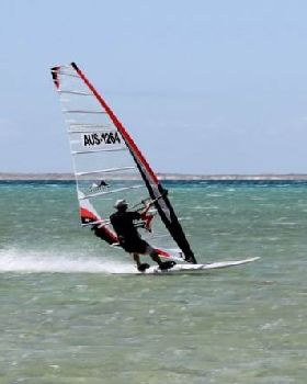 10628-crasher shark bay