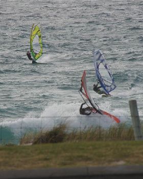 DSC02178