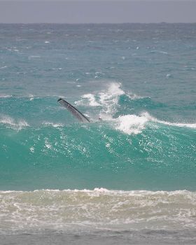 Waratah Bay 9th Jan